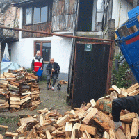 Opcina-Stari-grad---drva_original